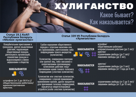 Что такое правонарушение и его виды