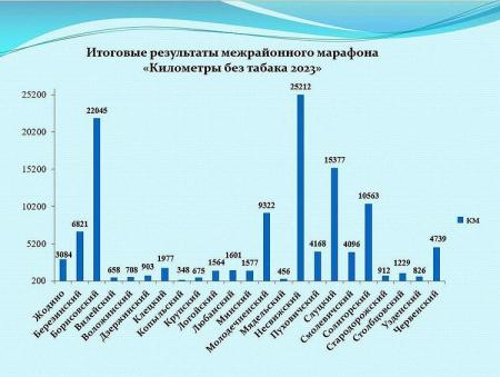 ИТОГИ МЕЖРАЙОННОГО МАРАФОНА 